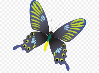 Butterfly, Download, Potanthus Motzui, Insect PNG