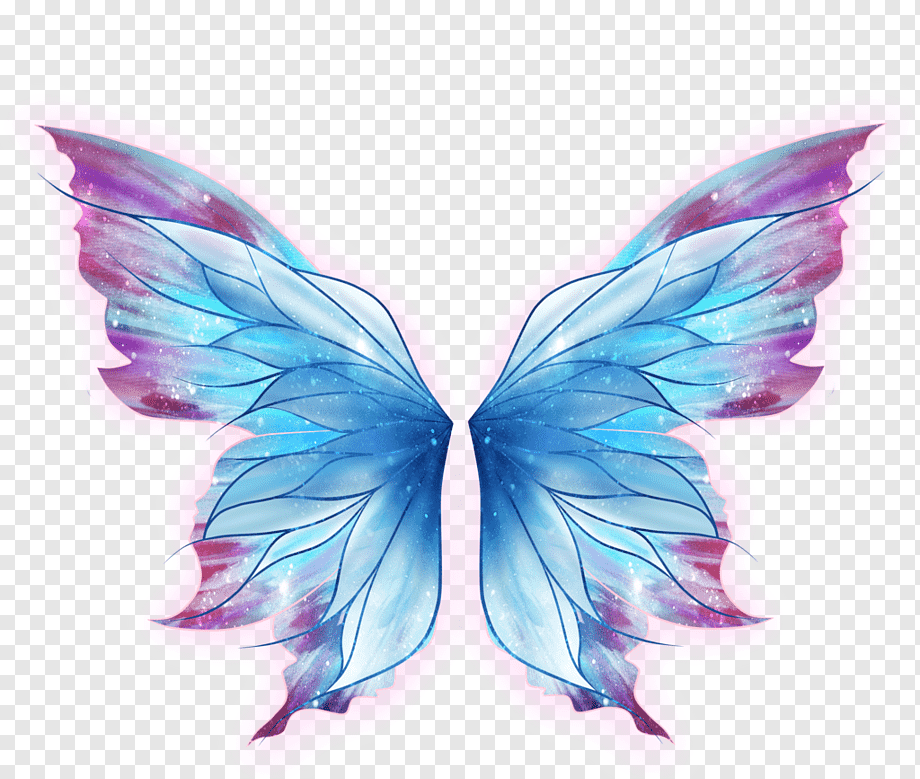 Butterfly Drawing Art Fairy, wings, blue and red butterfly wing, purple, blue, violet png