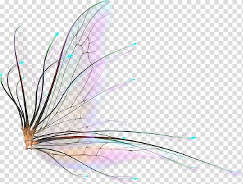 Butterfly Drawing Watercolor painting Cartoon , butterfly transparent background PNG clipart