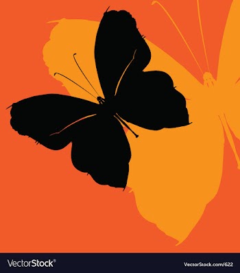 Butterfly effect vector image
