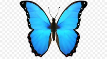 Butterfly Emoji domain iPhone iOS - butterfly 