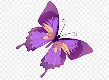 Butterfly Euclidean vector Stock illustration Graphics - Transparent Purple Butterfly PNG Picture 