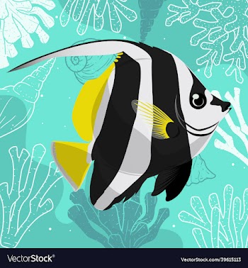 butterfly fish