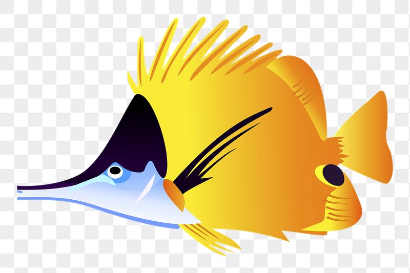 Butterfly fish png sticker, animal | Free PNG - rawpixel