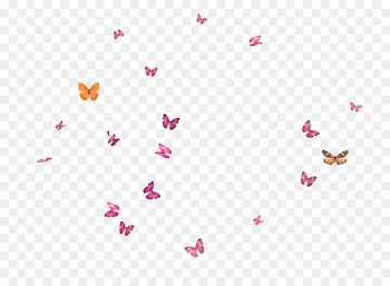 Butterfly Flight - Flying Butterfly 