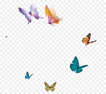 Butterfly Flight Wing - butterfly 