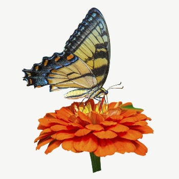 Butterfly & flower collage element | Free PSD - rawpixel