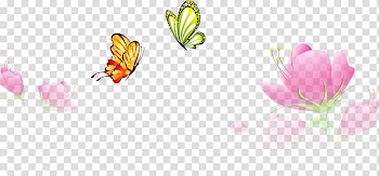 Butterfly Flower Euclidean , Spring Flower Butterfly transparent background PNG clipart