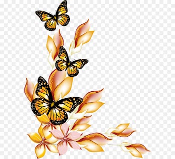 Butterfly Flower - Flowers and butterflies borders vector 