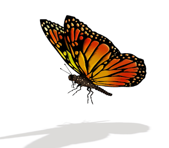 Butterfly Flying From Cocoon Clipart & Clip Art Images #12000 ...