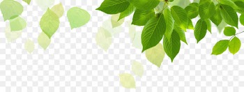 Butterfly gardening Butterfly gardening Wallpaper - Leaves 