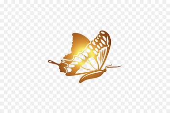 Butterfly Gold Software - Golden Butterfly 