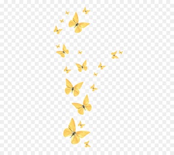 Butterfly - Golden butterfly 