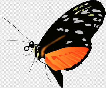 Butterfly HD PNG Transparent Butterfly HD.PNG Images. | PlusPNG
