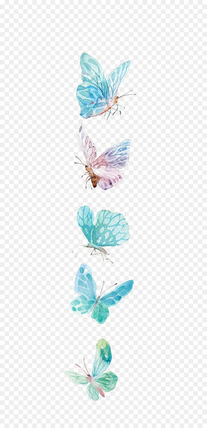 Butterfly Icon - Watercolor butterfly 