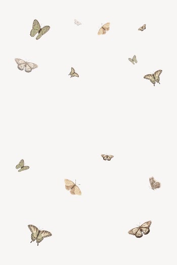 Butterfly illustration background, vector | Free Vector Illustration - rawpixel
