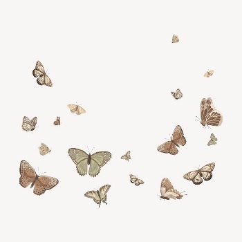 Butterfly illustration background, vector | Free Vector Illustration - rawpixel