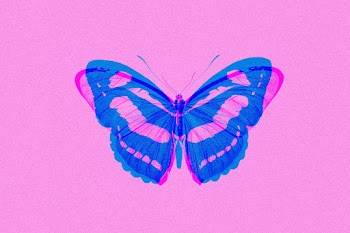 Butterfly in double color abstract exposure… | Free stock illustration | High Resolution graphic