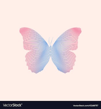 butterfly in mesh design