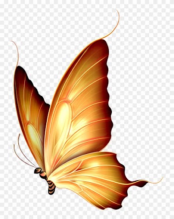 Butterfly Insect Clip Art - Butterfly Insect Clip Art
