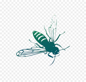 Butterfly Insect Clip art Logo Wing -  