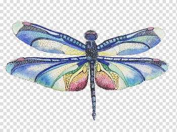 Butterfly Insect Dragonfly Dog, butterfly transparent background PNG clipart