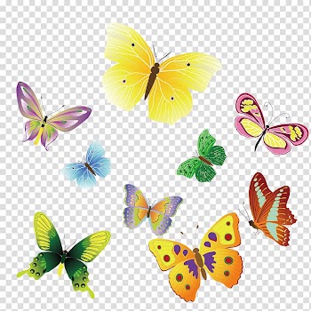 Butterfly Insect Euclidean , Colorful butterfly material transparent background PNG clipart