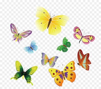 Butterfly Insect Euclidean vector Clip art - Colorful butterfly vector material 