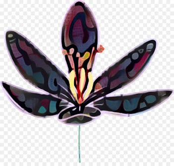 Butterfly, Insect, Flowering Dogwood, Purple PNG