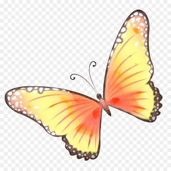 Butterfly, Insect, Monarch Butterfly, Moths And Butterflies PNG