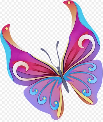 butterfly insect moths and butterflies wing pink