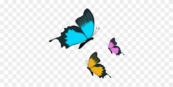 Butterfly Insect Nature Butterfly Butterfl - Farfalla Clip Art