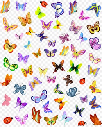 Butterfly Insect Royalty-free Illustration - Vector colorful butterfly 