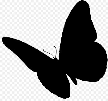 Butterfly Insect Scalable Vector Graphics Computer Icons Portable Network Graphics -  