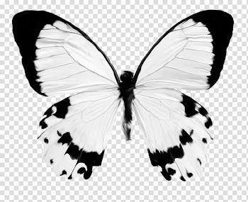 Butterfly Insect , watercolor butterfly transparent background PNG clipart
