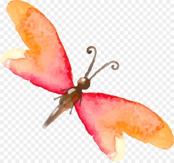 Butterfly Insect Watercolor painting Drawing - Hand painted colorful butterfly insects 