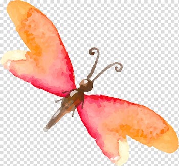 Butterfly Insect Watercolor painting Drawing, Hand painted colorful butterfly insects transparent background PNG clipart