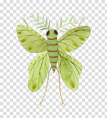 Butterfly Insect Watercolor painting Illustration, Green flies transparent background PNG clipart