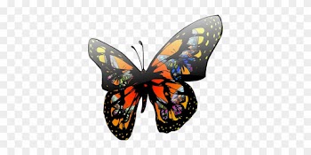 Butterfly Insect Wildlife Colorful Nature - Moving Clip Art Butterfly