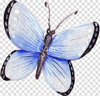 Butterfly Insect Wing Moth, watercolor butterfly transparent background PNG clipart