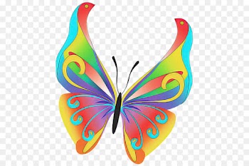 butterfly insect wing moths and butterflies pollinator