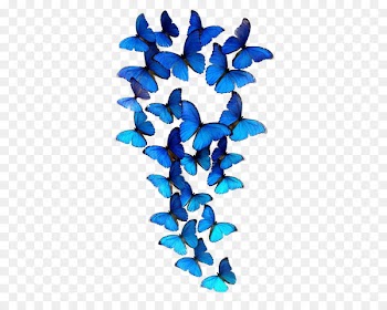Butterfly iPhone 6S - Butterfly group 
