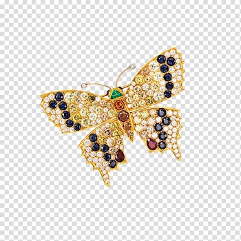 Butterfly Jewellery Brooch Gemstone Gold, butterfly frame transparent background PNG clipart