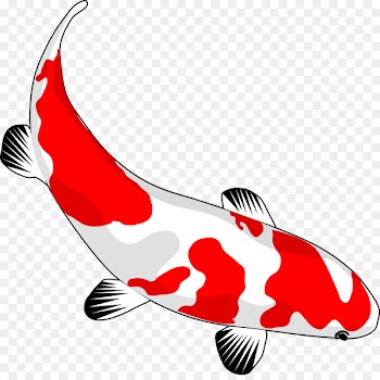 Butterfly Koi Drawing Clip art - japanese 