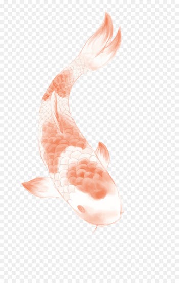 Butterfly Koi Tattoo - Chinese wind carp 