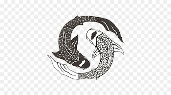 Butterfly Koi Yin Yang fish Yin and yang Chinese cuisine - koi 