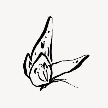 Butterfly  line art, animal | Free Photo - rawpixel