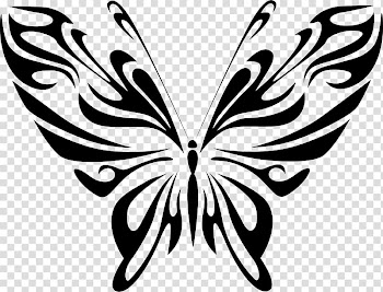 Butterfly Line art Drawing , butterflay transparent background PNG clipart