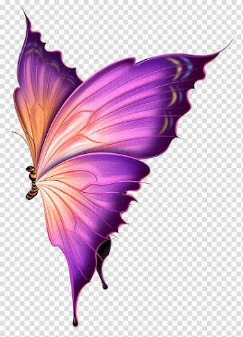 Butterfly LiveInternet , Hand-painted butterflies,Cartoon Purple Butterfly Dream transparent background PNG clipart