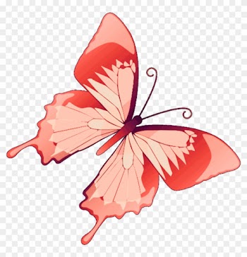 Butterfly Mariposa Diurna Day Diurnal Spring Primavera - Purple Rose Butterfly Purple